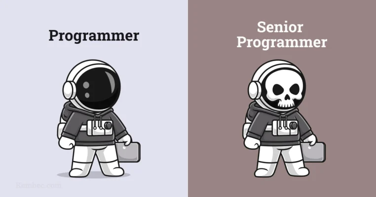 Senior Programmer
